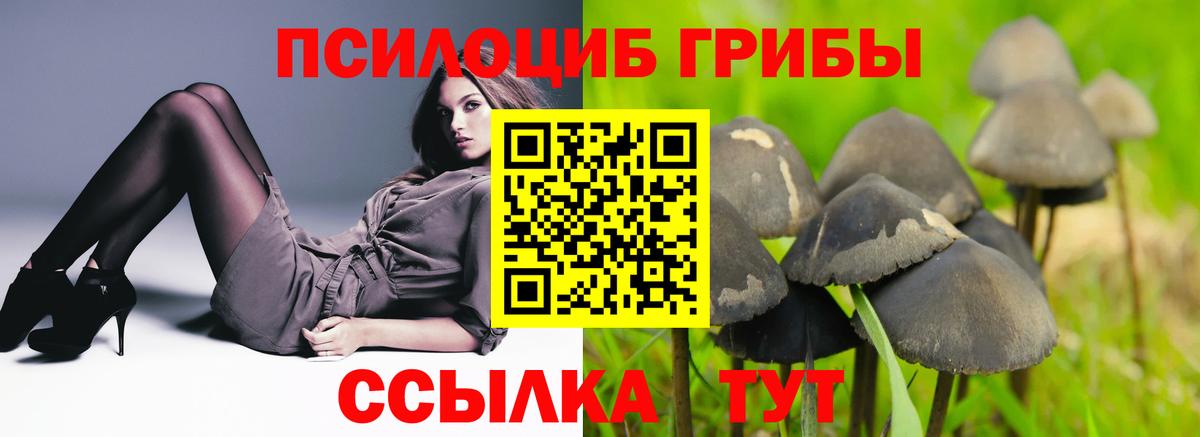 Серов  Псилоцибиновые грибы мицелий  Вход с VPN 