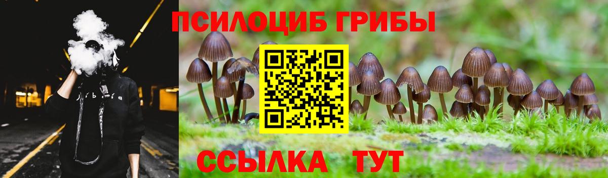 Галлюциногенные грибы мицелий Серов